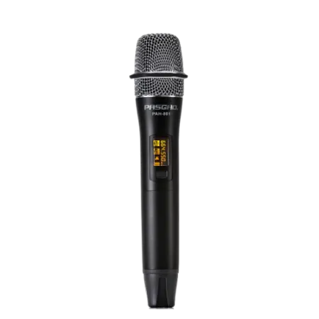 Купить Pasgao PAW-920 Rx_2x PAH-801 TxH по выгодной цене в Челябинске