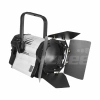 Купить ANZHEE PRO Spectrum Fresnel W 300 по выгодной цене в Челябинске