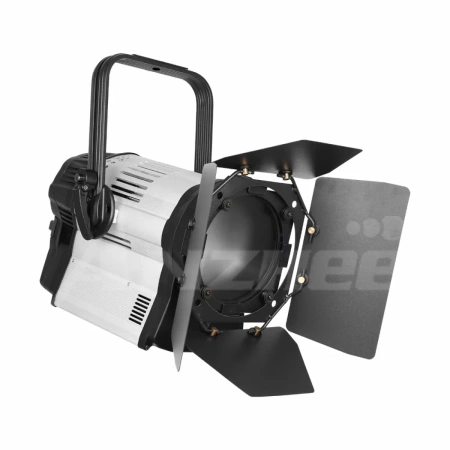 Купить ANZHEE PRO Spectrum Fresnel W 300 по выгодной цене в Челябинске
