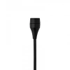 Купить AKG C417 PP по выгодной цене в Челябинске