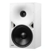 Купить Genelec 8380AW по выгодной цене в Челябинске