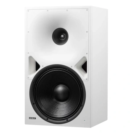 Купить Genelec 8380AW по выгодной цене в Челябинске