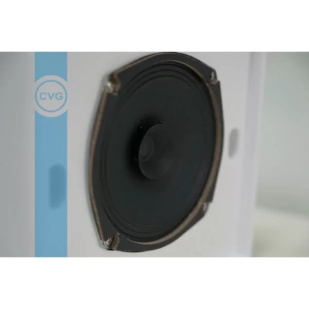Купить CVGAUDIO WPS6T по выгодной цене в Челябинске
