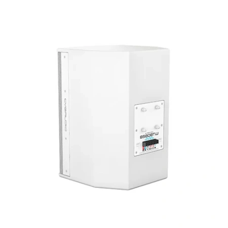 Купить CVGAUDIO BS808TW по выгодной цене в Челябинске