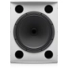 Купить TANNOY VX 15HP-WH по выгодной цене в Челябинске