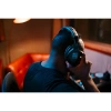 Купить Sennheiser HD 300 PROtect по выгодной цене в Челябинске