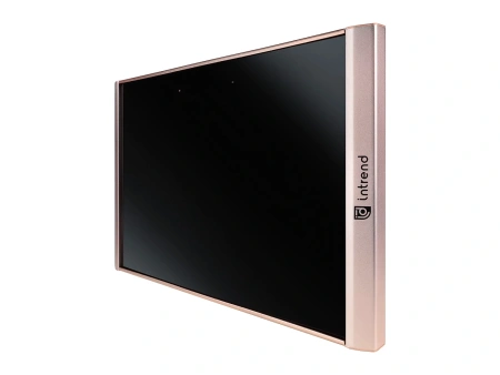 Купить Intrend ICS-IR-TX по выгодной цене в Челябинске