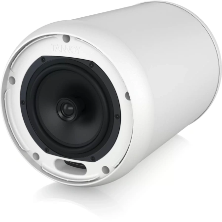 Купить TANNOY OCV 6-WH по выгодной цене в Челябинске