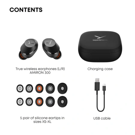Купить Beyerdynamic Amiron 300 Black по выгодной цене в Челябинске