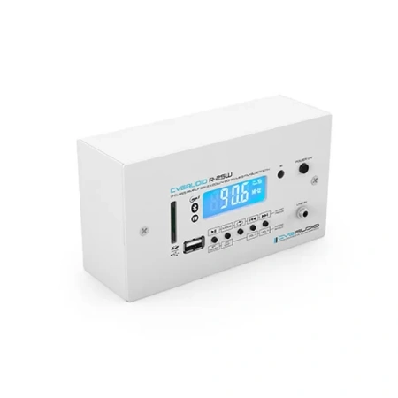 Купить CVGAUDIO R-25W по выгодной цене в Челябинске