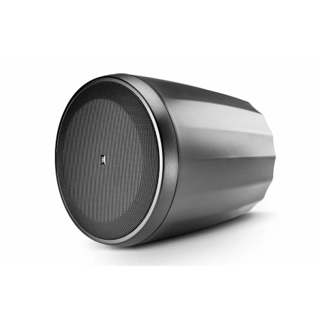 Купить JBL Control 64P/T по выгодной цене в Челябинске