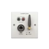 CVGAUDIO PW/EX-IN/W