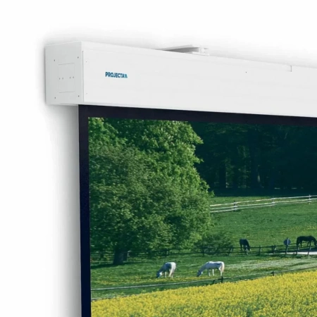 Купить Projecta Elpro Large Electrol 176 по выгодной цене в Челябинске