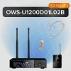 Купить Октава OWS-U1200D01L02B plus по выгодной цене в Челябинске
