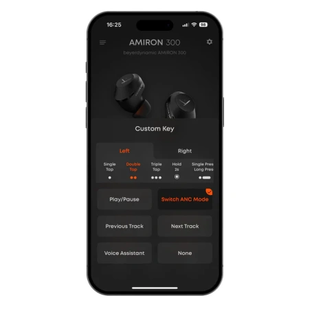 Купить Beyerdynamic Amiron 300 Black по выгодной цене в Челябинске