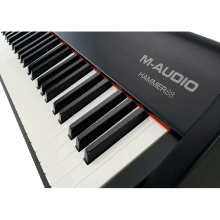 Купить M-audio Hammer 88 по выгодной цене в Челябинске