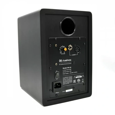 Купить Axelvox PM-5A по выгодной цене в Челябинске