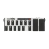 Купить BEHRINGER FCB1010 по выгодной цене в Челябинске