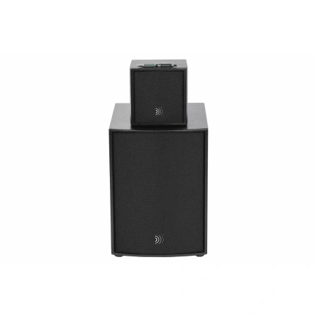 Купить DS Proaudio ANT по выгодной цене в Челябинске