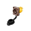 ROXTONE RAC3MPI-WP Yellow/Brown