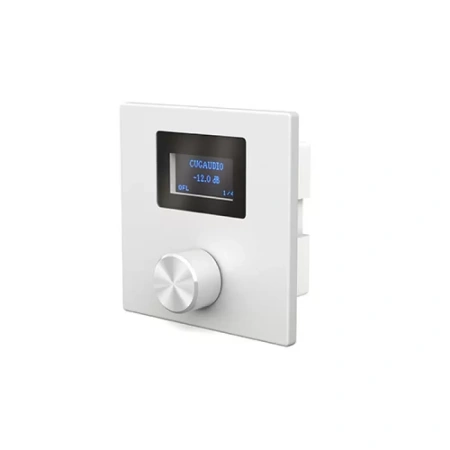 Купить CVGAUDIO P-ZONER-W/IP/A по выгодной цене в Челябинске