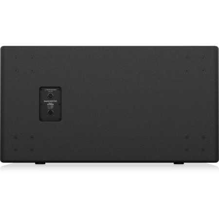 Купить TURBOSOUND MS218 по выгодной цене в Челябинске