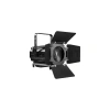 Купить LightCraft Fresnel 300 ZOOM CW+WW по выгодной цене в Челябинске