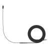 Купить SENNHEISER HSP ESSENTIAL OMNI-BLACK-3-PIN по выгодной цене в Челябинске