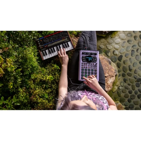 Купить ROLAND SP-404MKII по выгодной цене в Челябинске