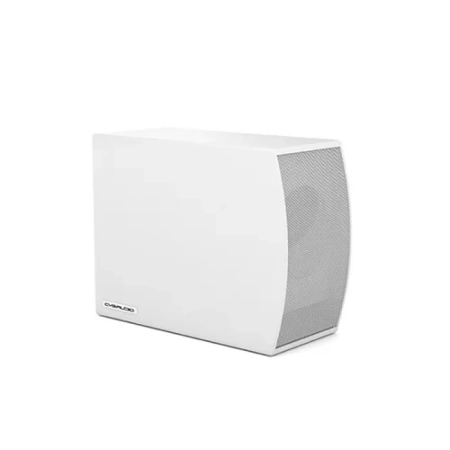 Купить CVGAUDIO SUBone model C-6W по выгодной цене в Челябинске