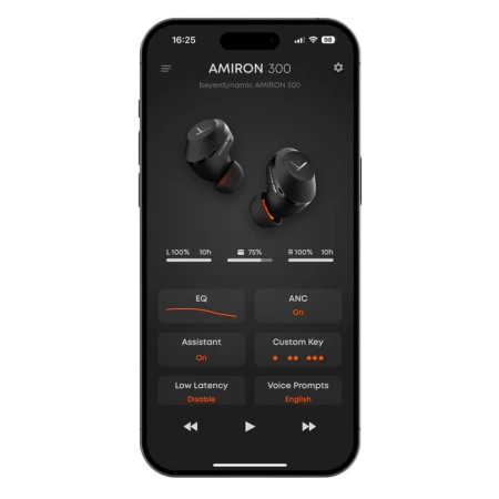 Купить Beyerdynamic Amiron 300 Black по выгодной цене в Челябинске